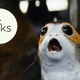 Image: Disney / Lucasfilm